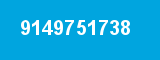 9149751738