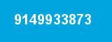 9149933873