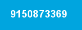 9150873369