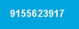 9155623917