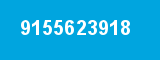 9155623918