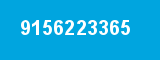 9156223365