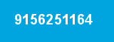 9156251164