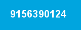 9156390124