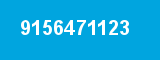 9156471123