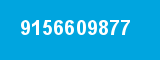 9156609877