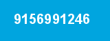 9156991246 9156991246