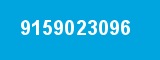 9159023096