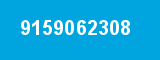9159062308