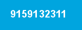 9159132311