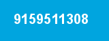 9159511308