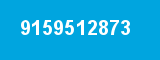 9159512873