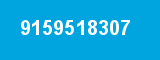 9159518307