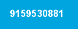 9159530881