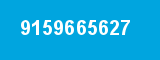 9159665627