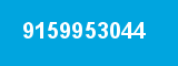 9159953044