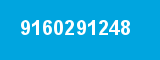 9160291248