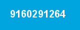 9160291264 9160291264