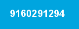 9160291294