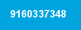 9160337348