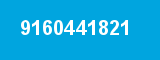 9160441821