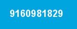 9160981829