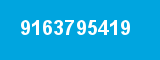 9163795419