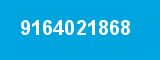 9164021868