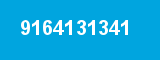 9164131341