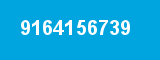9164156739