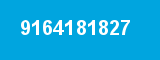 9164181827