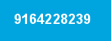 9164228239