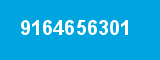 9164656301 9164656301