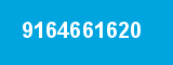 9164661620