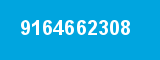 9164662308