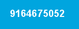 9164675052