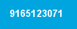9165123071