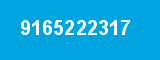 9165222317