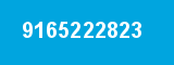 9165222823