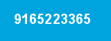 9165223365