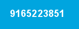 9165223851