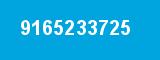9165233725