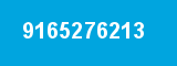 9165276213