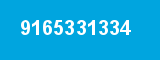 9165331334