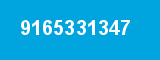 9165331347