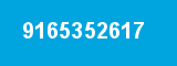 9165352617