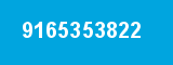 9165353822