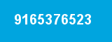 9165376523