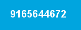 9165644672