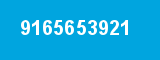 9165653921